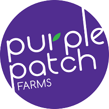 Purple Patch Farms